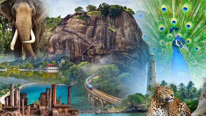 Sri Lanka’s Best Climate for Travel: Why This Tropical Paradise Is Perfect to Visit All Year Round